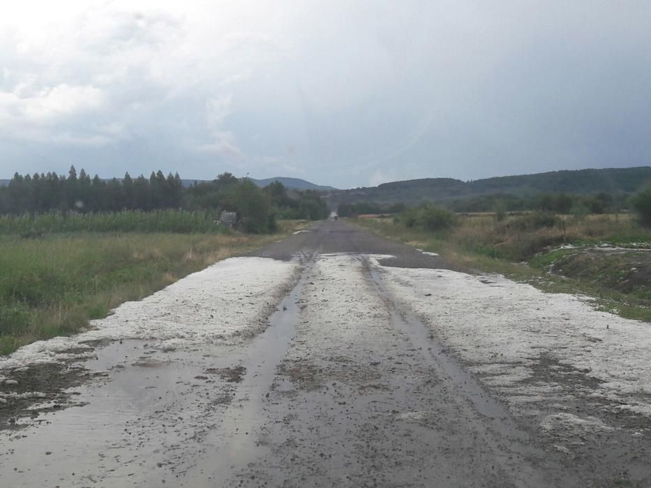 Una granizada destroza  cosechas en Ourense