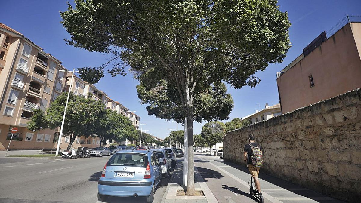 El trazado del carril de Jacint Verdaguer se trasladará de la acera a la calzada.