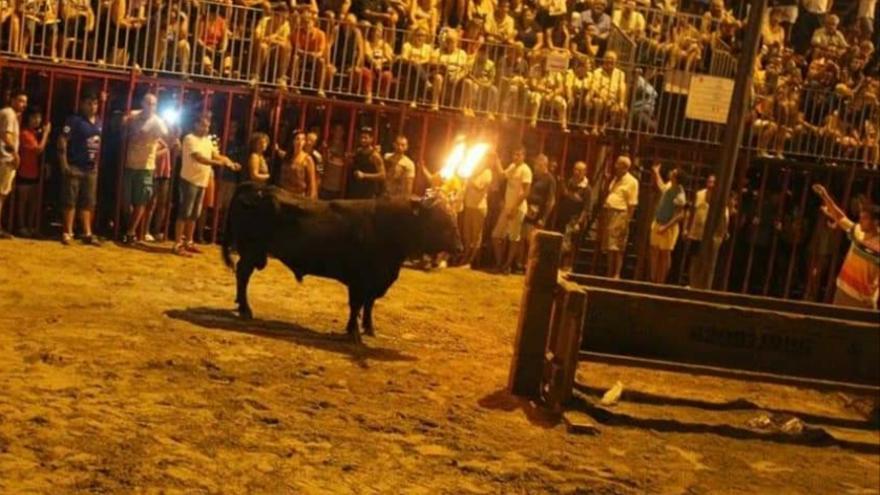 Los taurinos de Xàbia irrumpen en las elecciones: &quot;Tenemos claro qué partido nos ha quitado el toro embolado&quot;