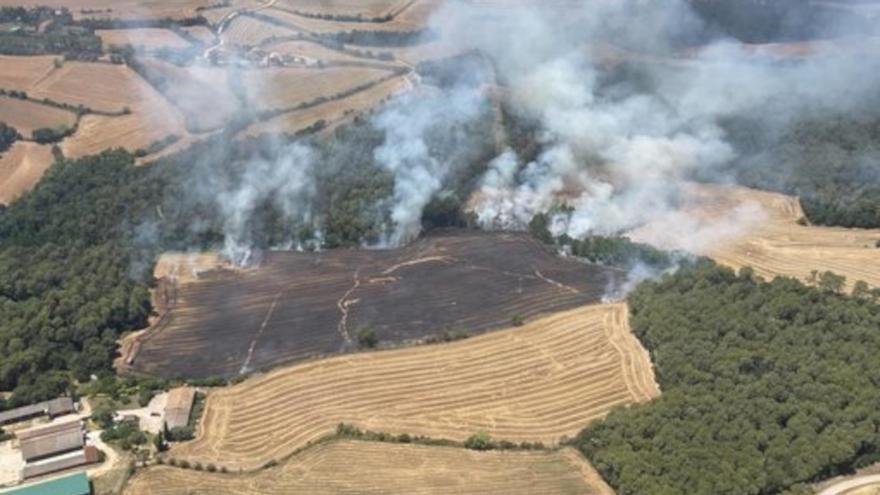 Imatge aèria de l'incendi agrícola de Vilademuls. | ACN