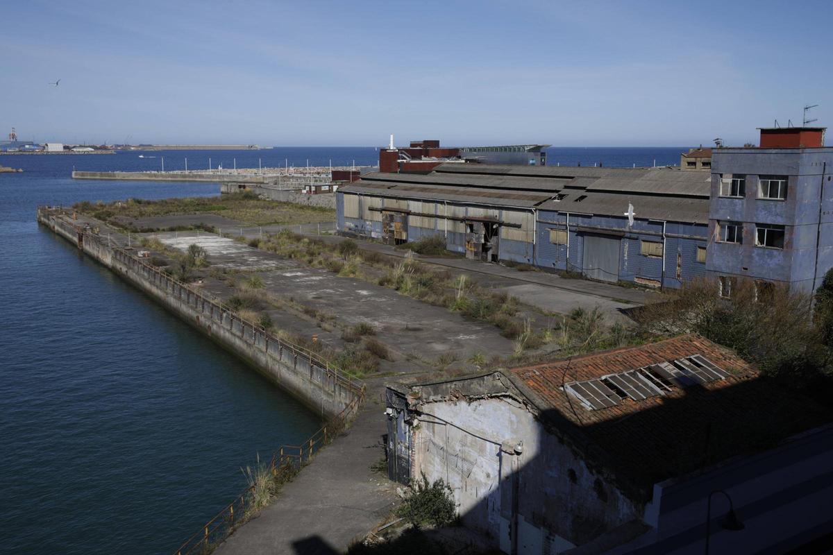 Los terrenos que se van a adecuar en Naval, con el Acuario al fondo.