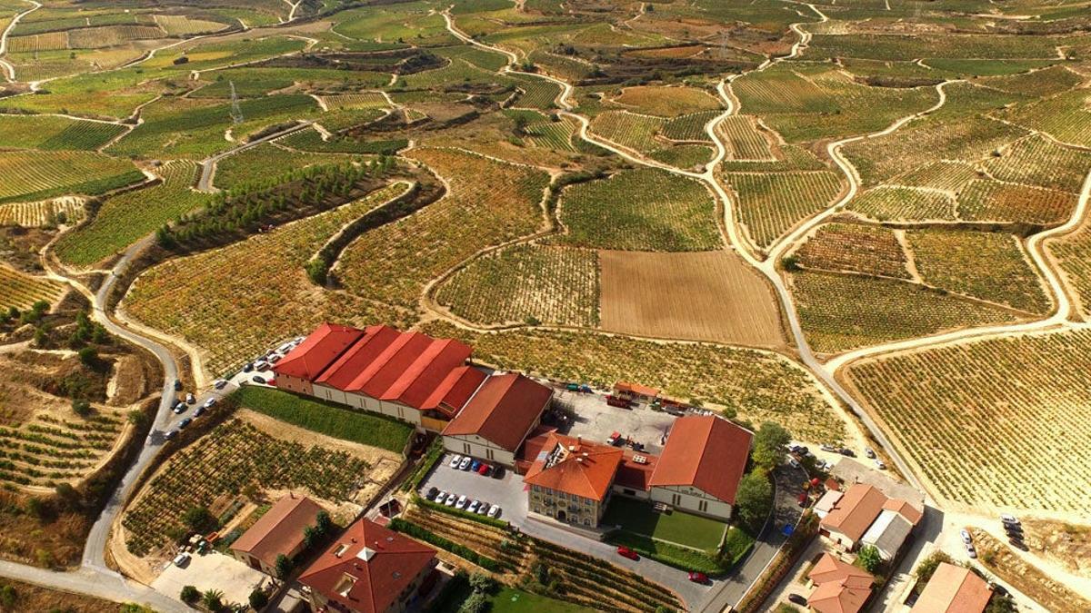 Bodegas Luis Cañas en Villabuena de Álava