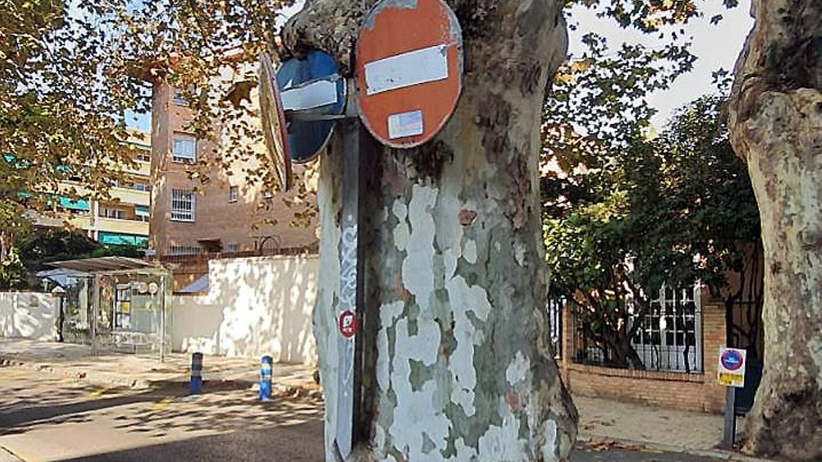 El plátano, con las señales a punto de caramelo.