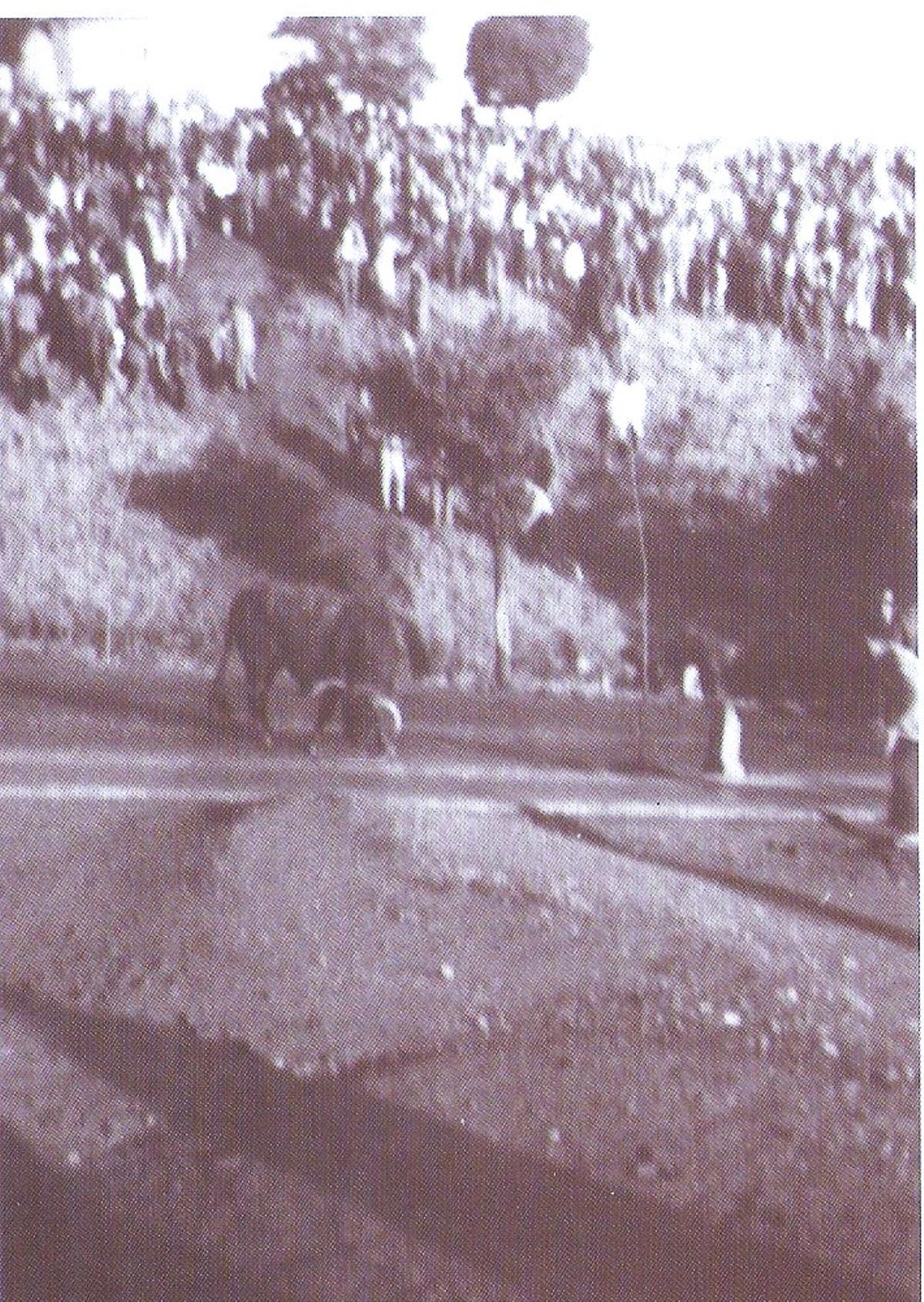 Toro en la cuesta del río en el año 1952.