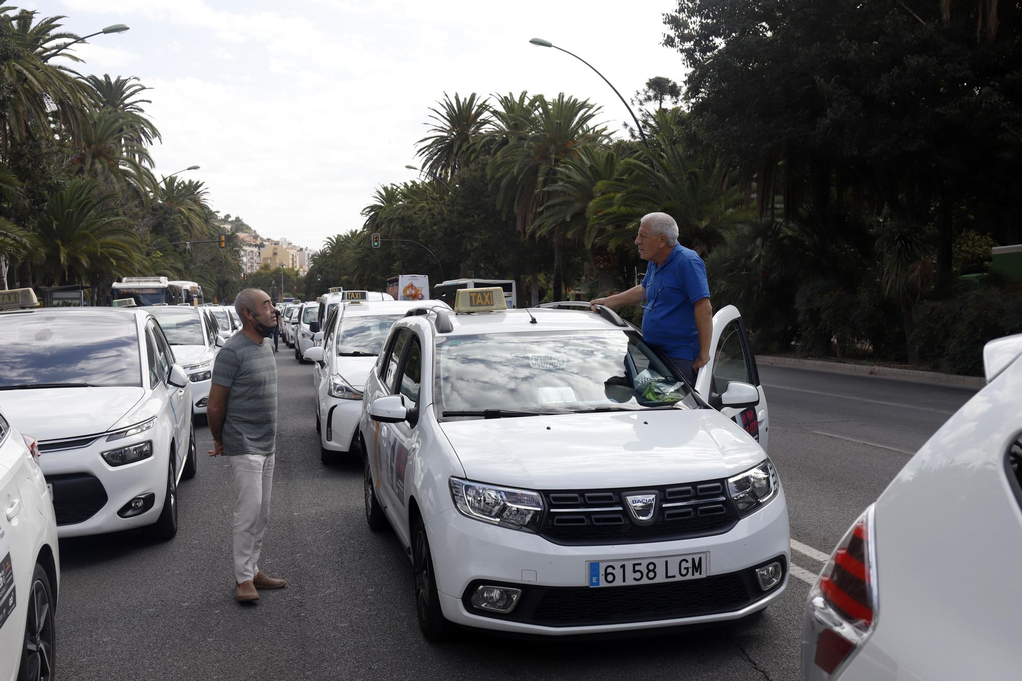 Manifestación del sector del taxi en Málaga contra el intrusismo de las VTC