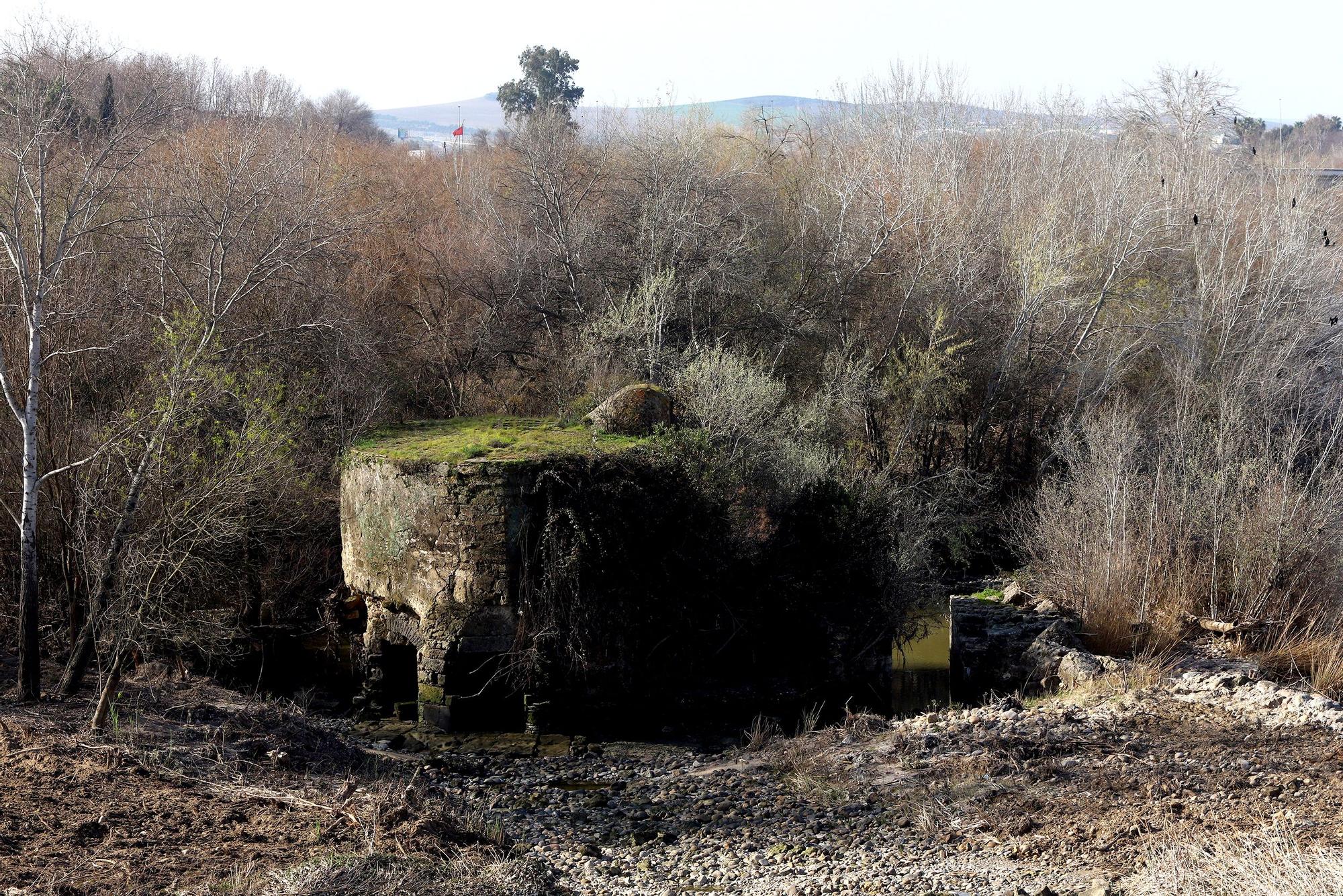 Molino de Jesús y María