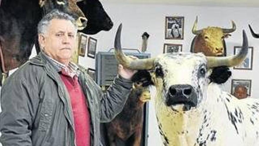 De aspirante a torero a taxidermista de toros bravos - Diario Córdoba