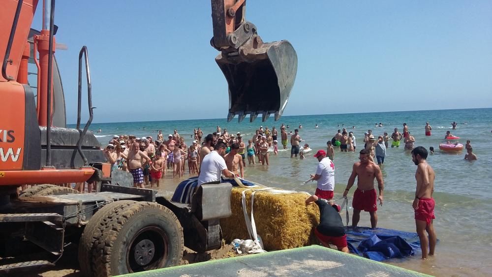 Bala de paja hallada en la playa de Gandia