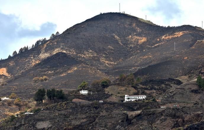 INCENDIO CUMBRE GRAN CANARIA