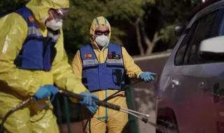 Medio Ambiente incentivará la caza del jabalí para evitar la peste porcina