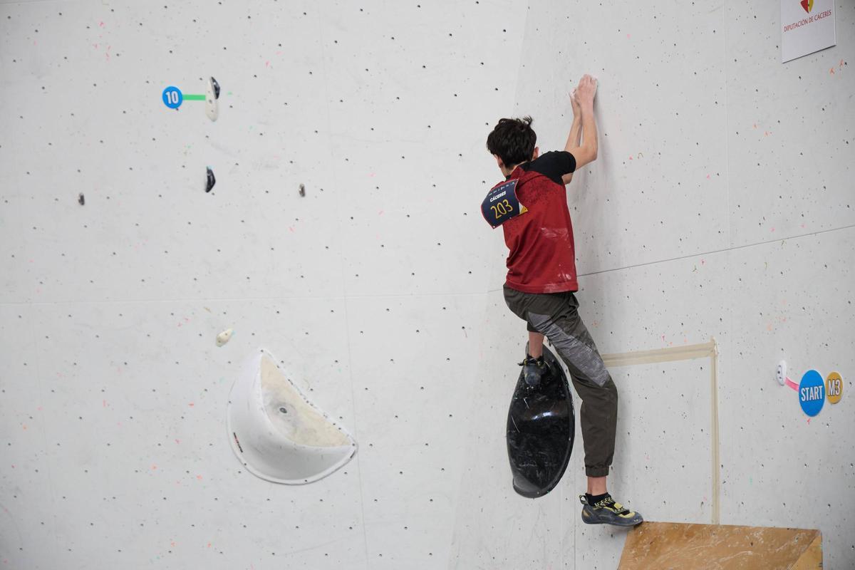 Galería | Galería | Instantáneas de la Copa de España de Escalada en Cáceres