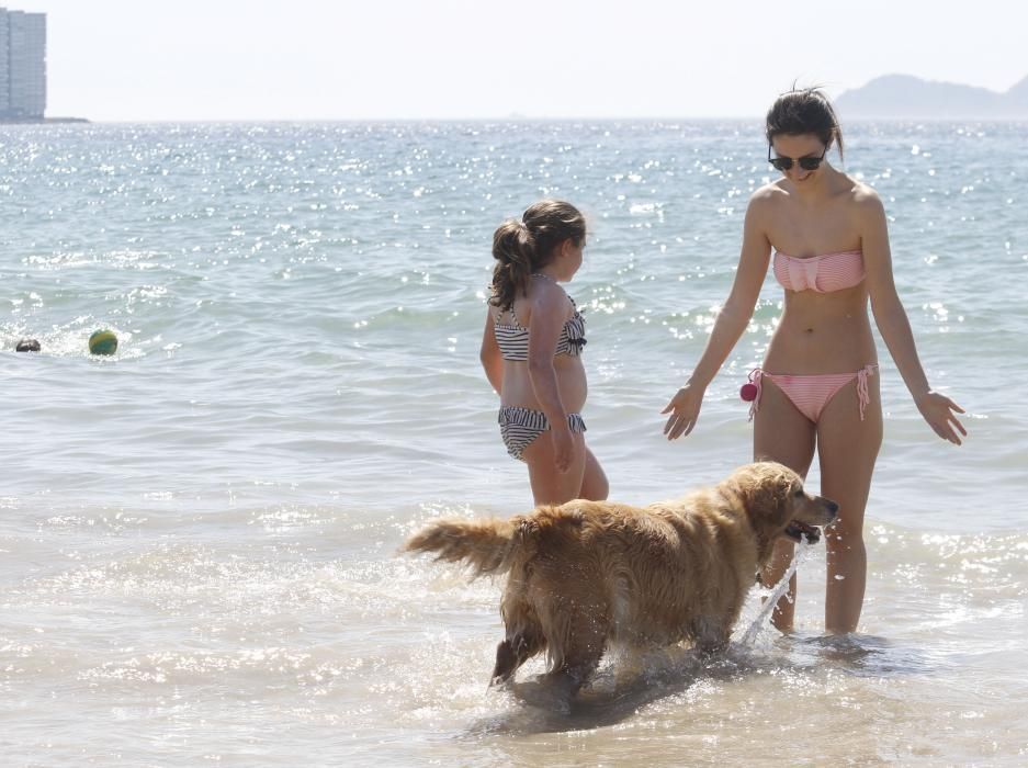 Ola de calor en Galicia