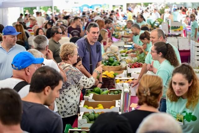 II Feria del Aguacate en Arguineguín