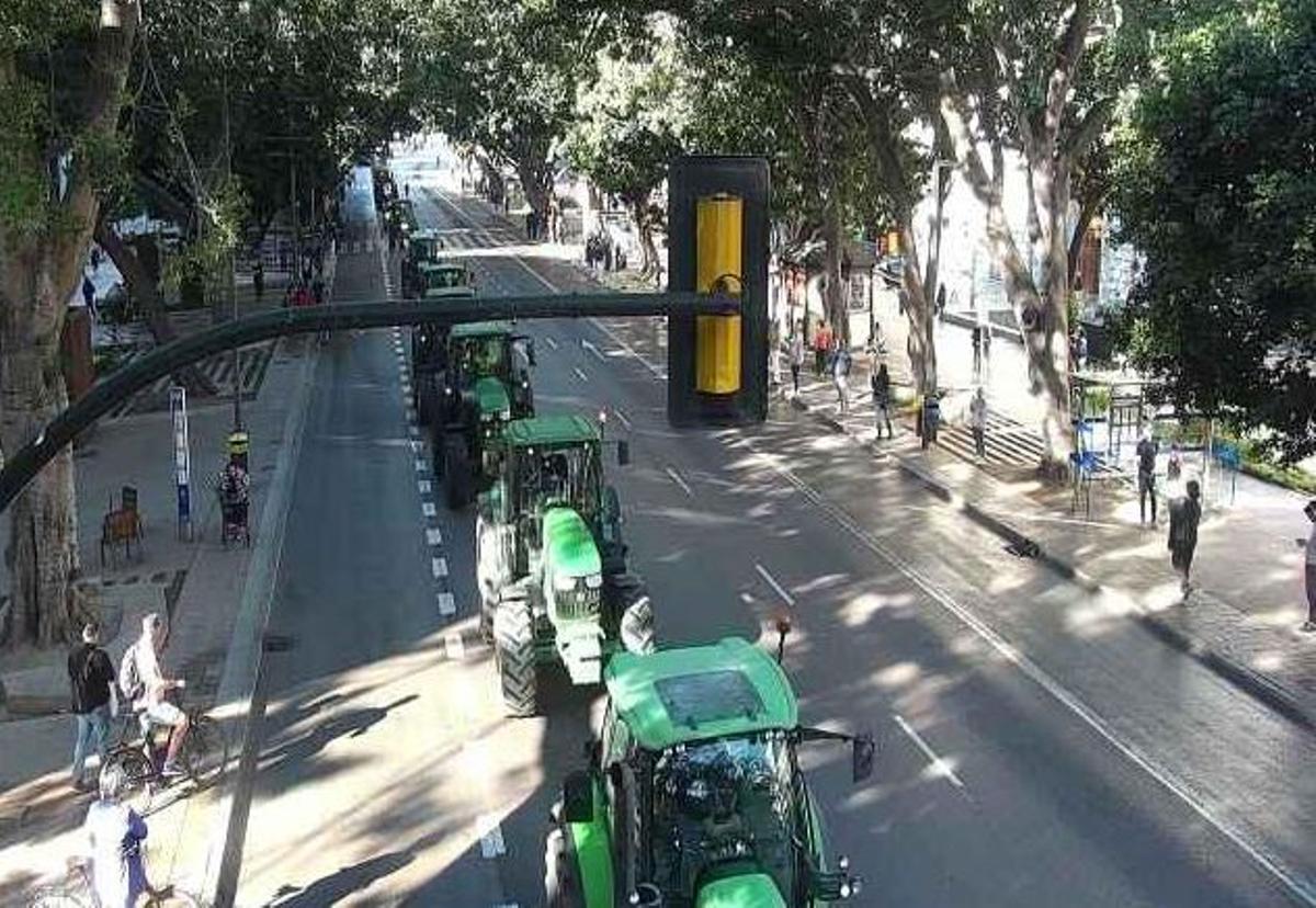 Tractores provenientes del Guadalhorce entran en la Alameda.