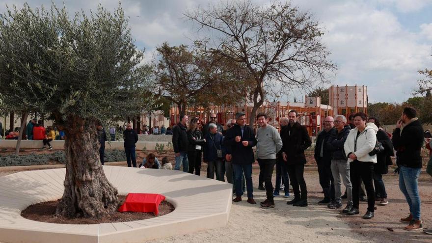 Cort celebra con un olivo los 10.000 árboles plantados