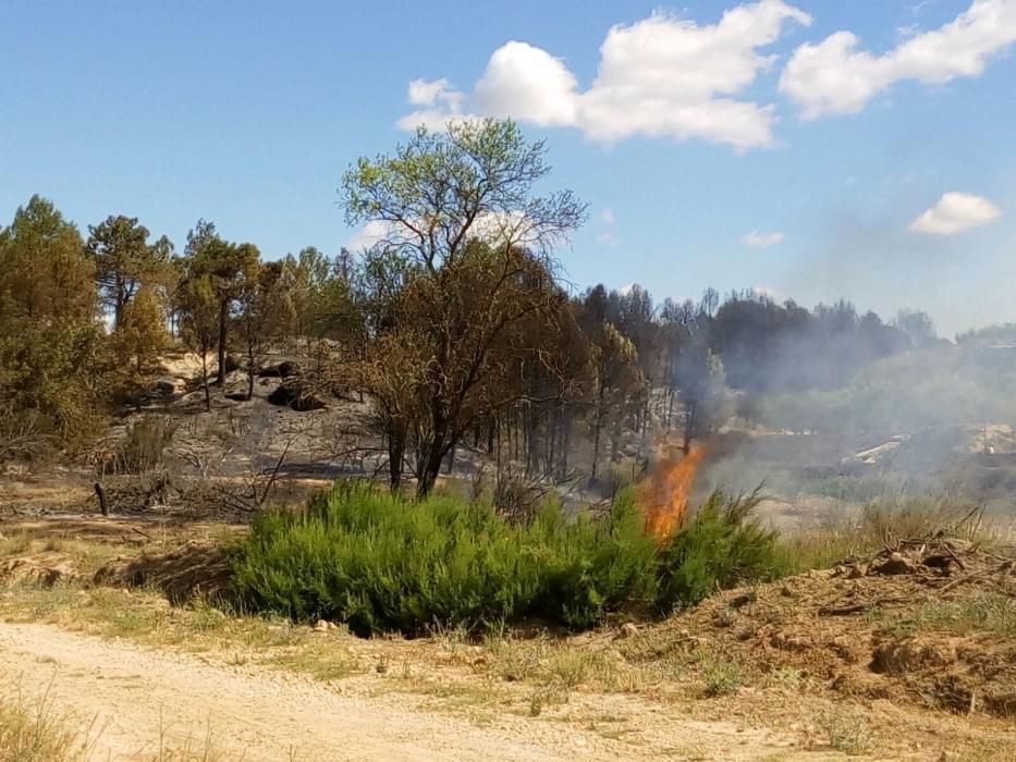 El fuego, en el término de Chella.