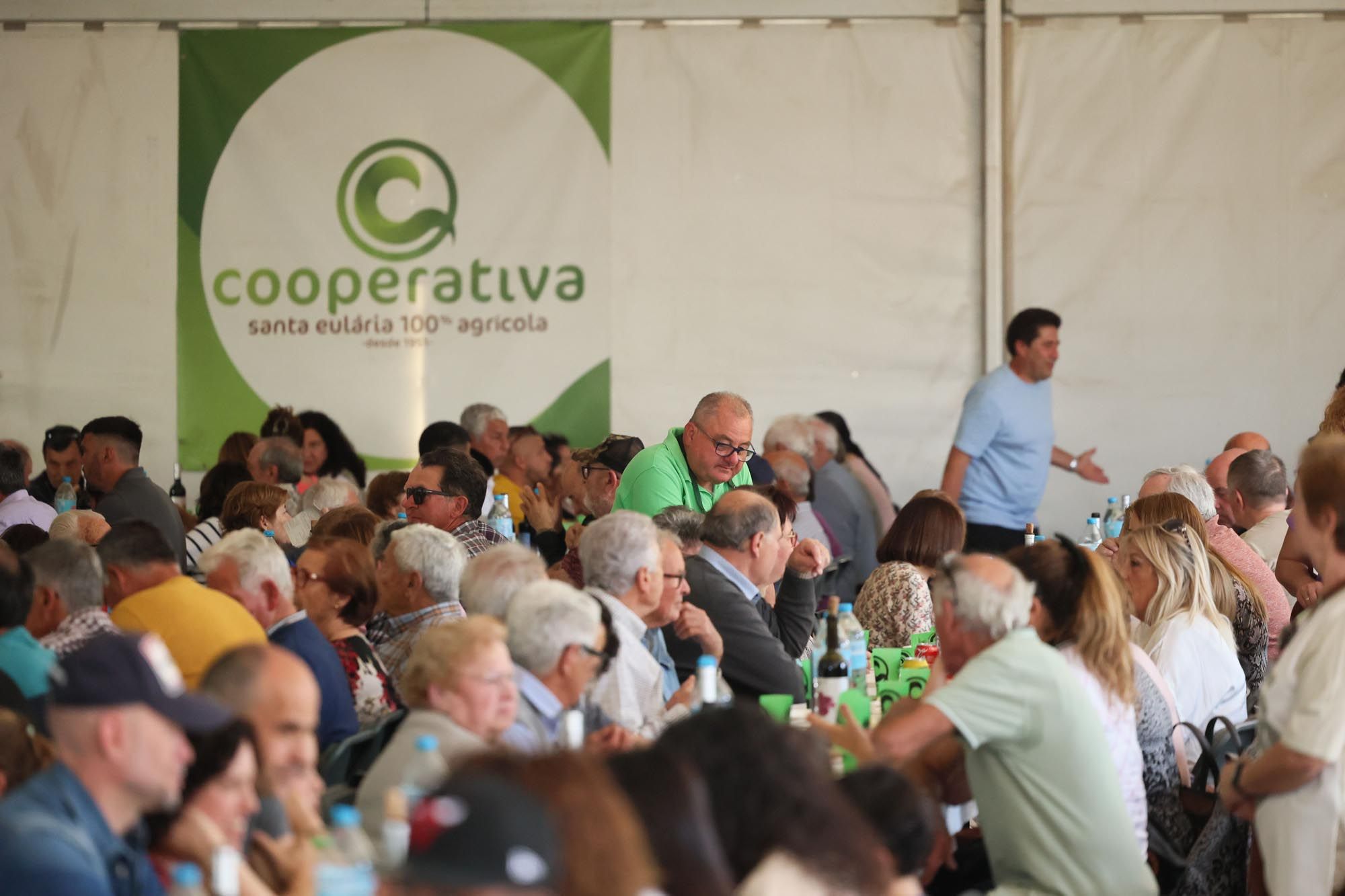 La asamblea de la Cooperativa Agrícola de Santa Eulària, en imágenes