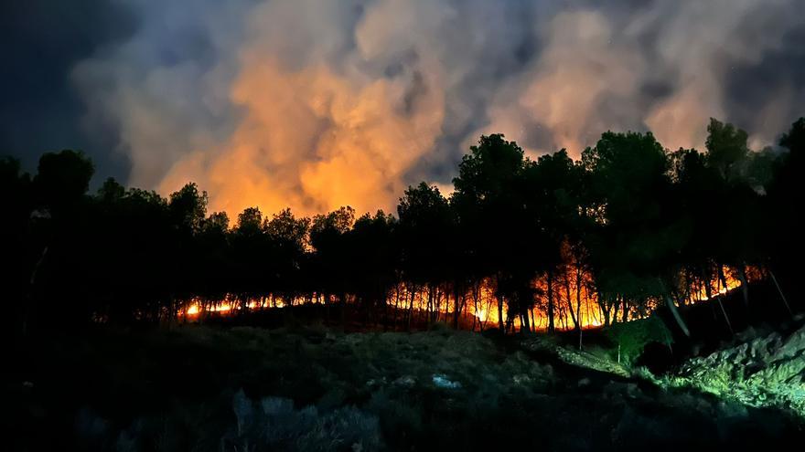 Las imágenes del incendio forestal en El Valle, junto a La Fuensanta