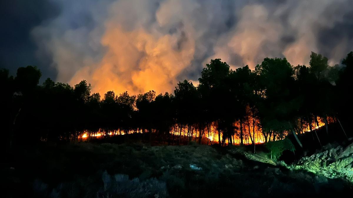 Incendio en El Valle de Murcia, junto al Santuario de la Fuensanta