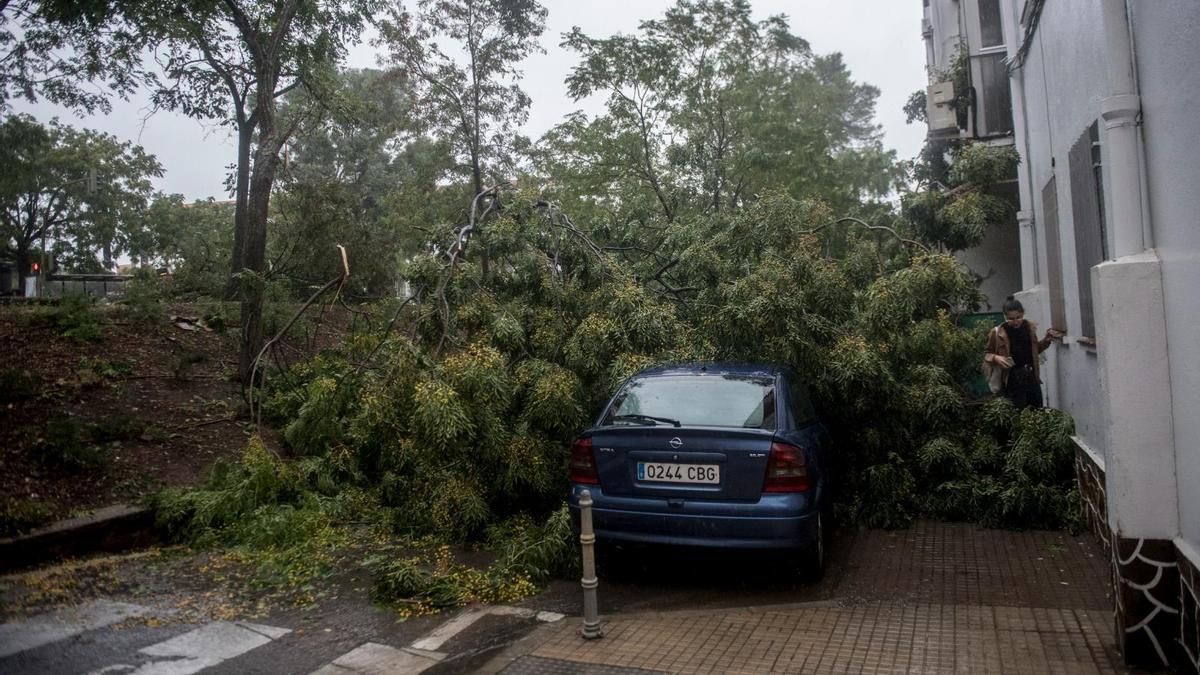 Fotogalería | Así afecta el temporal de lluvia y viento en Cáceres