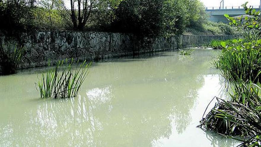 Tramo del río Nora afectado por los vertidos, ayer, en Lugones.