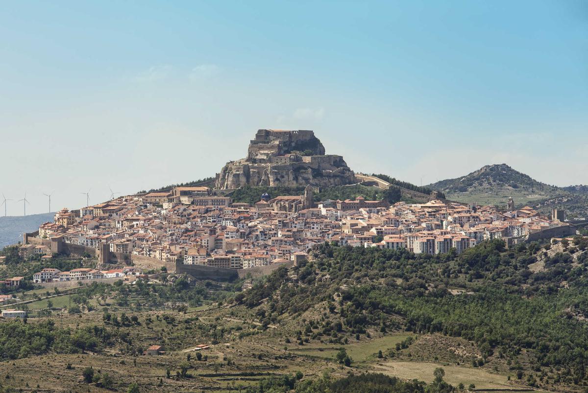 Morella.