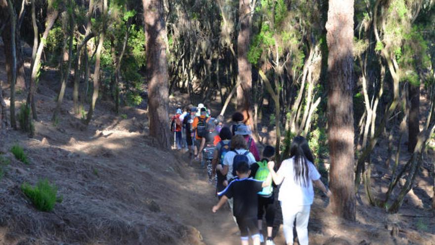 El grupo se adentra por el sendero La Caldera-Mamio- La Caldera en el inicio de una mañana de domingo diferente que sirvió a españoles y chinos para conocerse mejor.