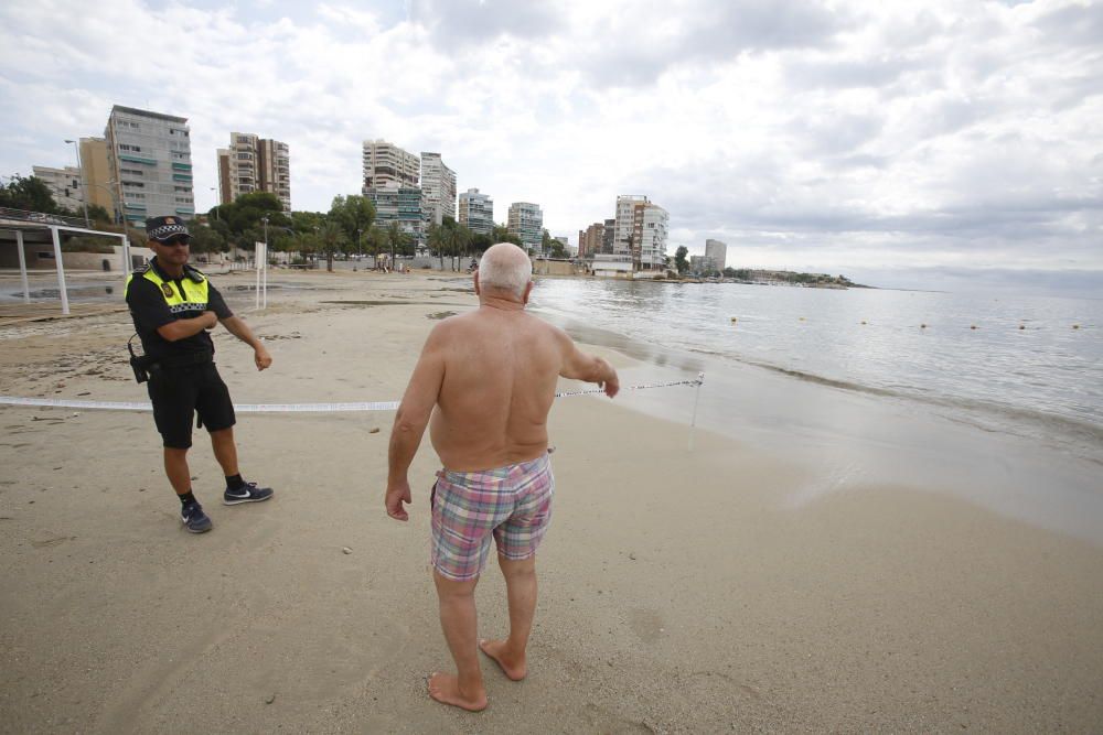 Daños del temporal en la Albufereta