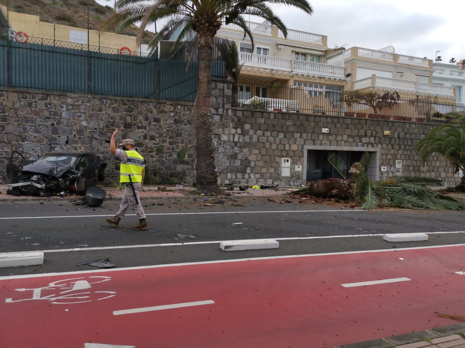 Un coche impacta contra una palmera en la capital grancanaria