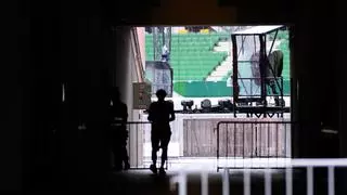 Uno de los terroristas detenidos en Viena iba a inmolarse frente al estadio donde estaban programados los conciertos de Taylor Swift