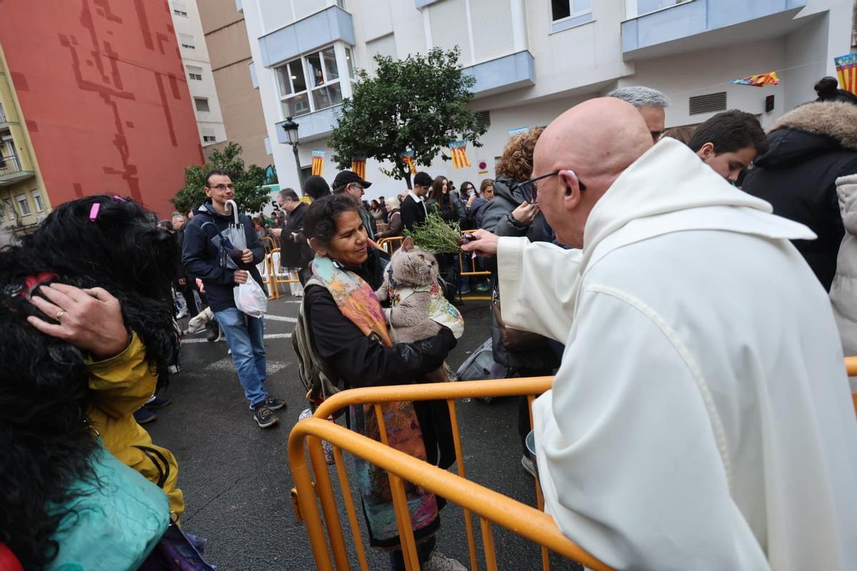 Bendición de animales por Sant Antoni en la calle Sagunt de València