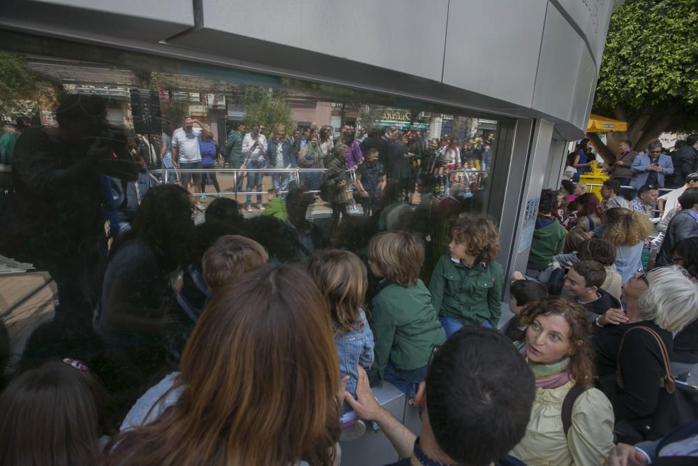 ABRIL. Reapertura del acuario de la Plaza Nueva de Alicante tras su reforma