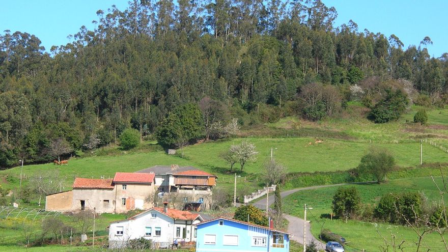 Fallece un corverano cuando trabajaba con su tractor