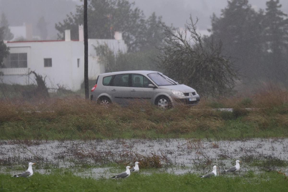 El temporal en Sant Antoni