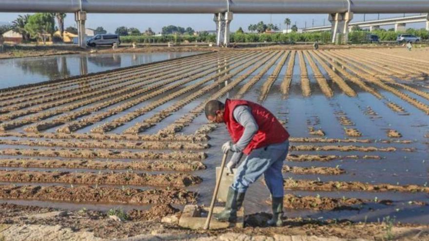 Los fondos van destinados al impulso de la producción ecológica.  | L.O.