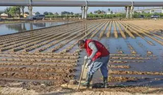 Gobierno y CCAA pactan repartir 206 millones en desarrollo rural, agricultura y ganadería