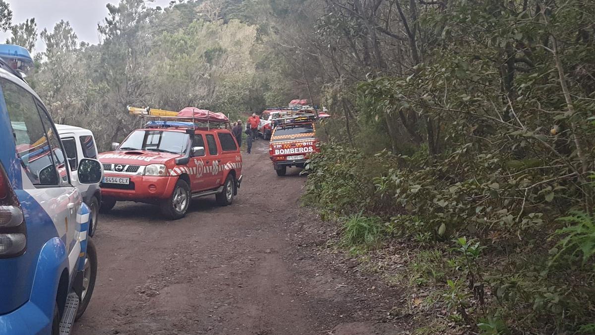 Efectivos de bomberos colaboran en el rescate de la senderista.