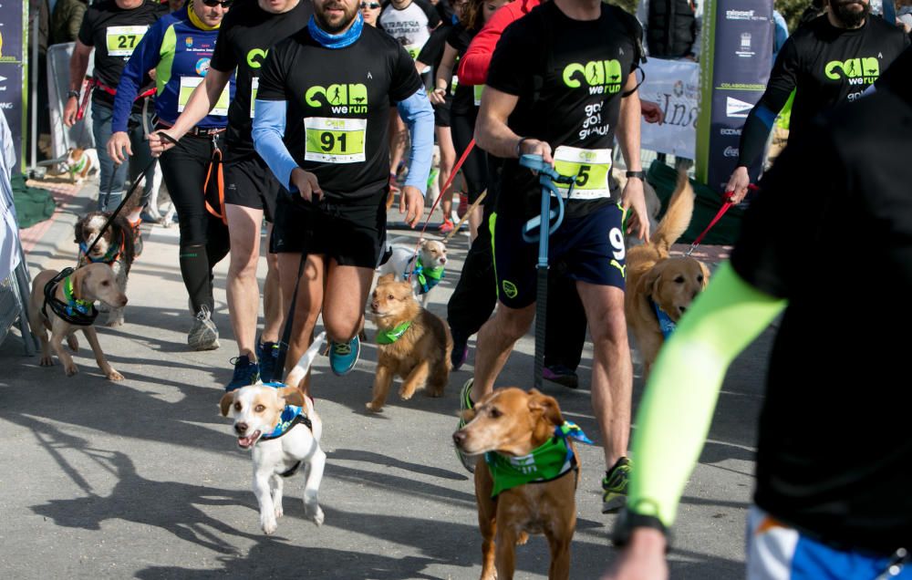 Can We Run: Gran carrera de perros para la concienciación animal