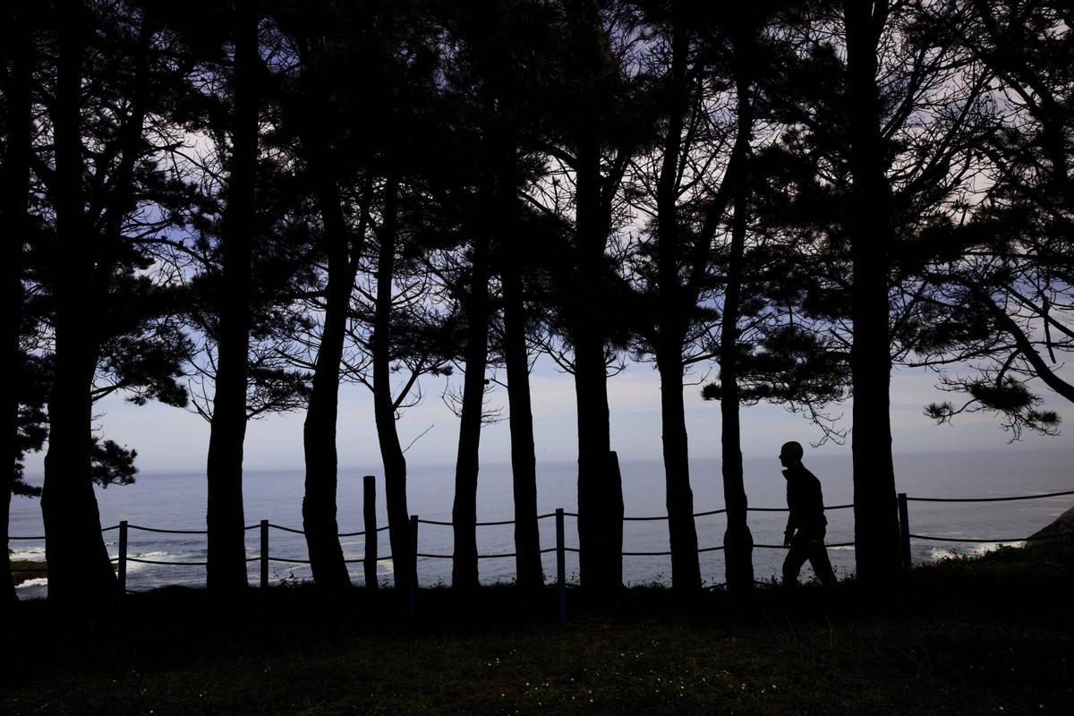 EN IMÁGENES: Así es el bosque-jardín de Luarca EN IMÁGENES: Así es el bosque-jardín de Luarca