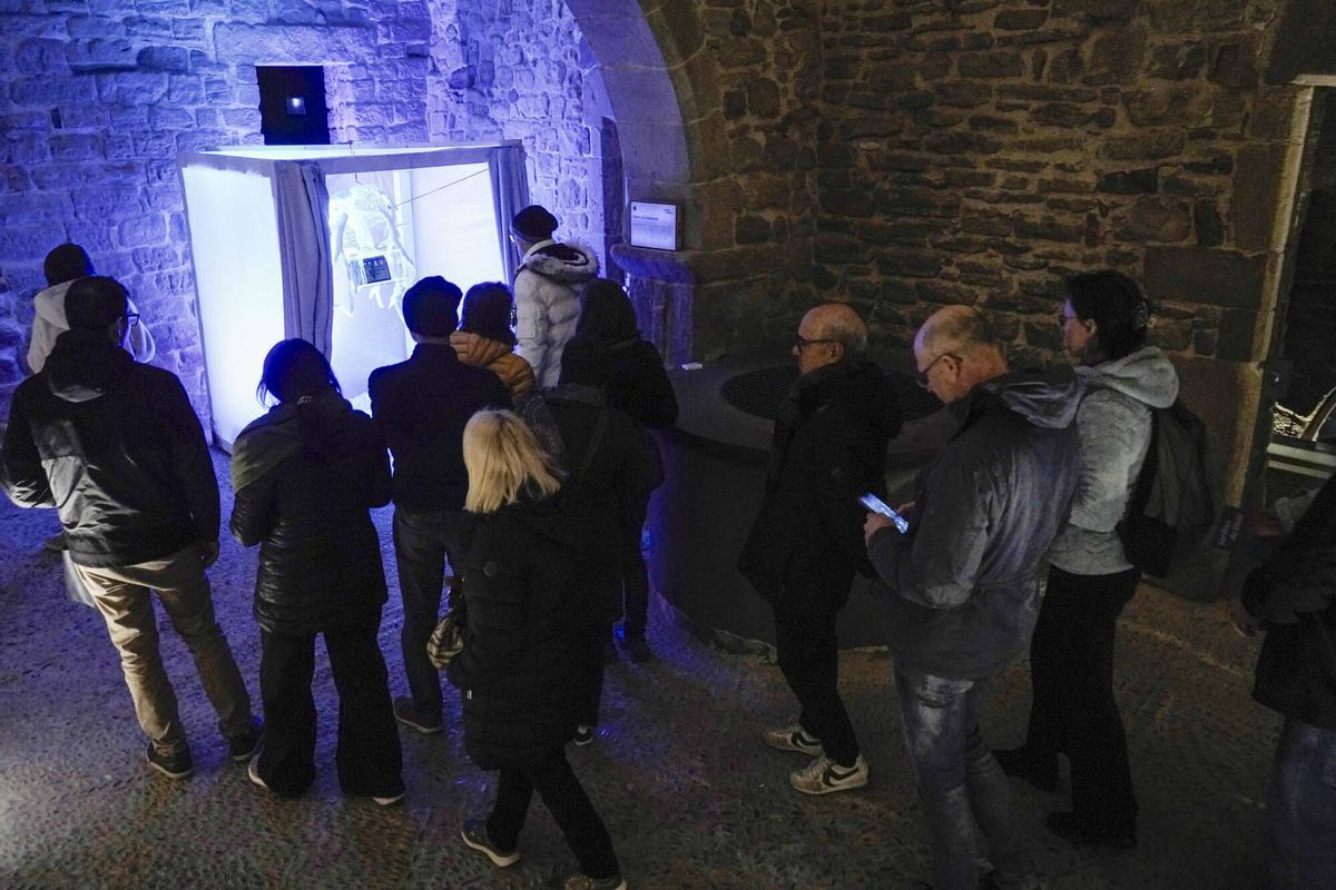 Les millors imatges dels Jardins de Llum de Manresa 2026