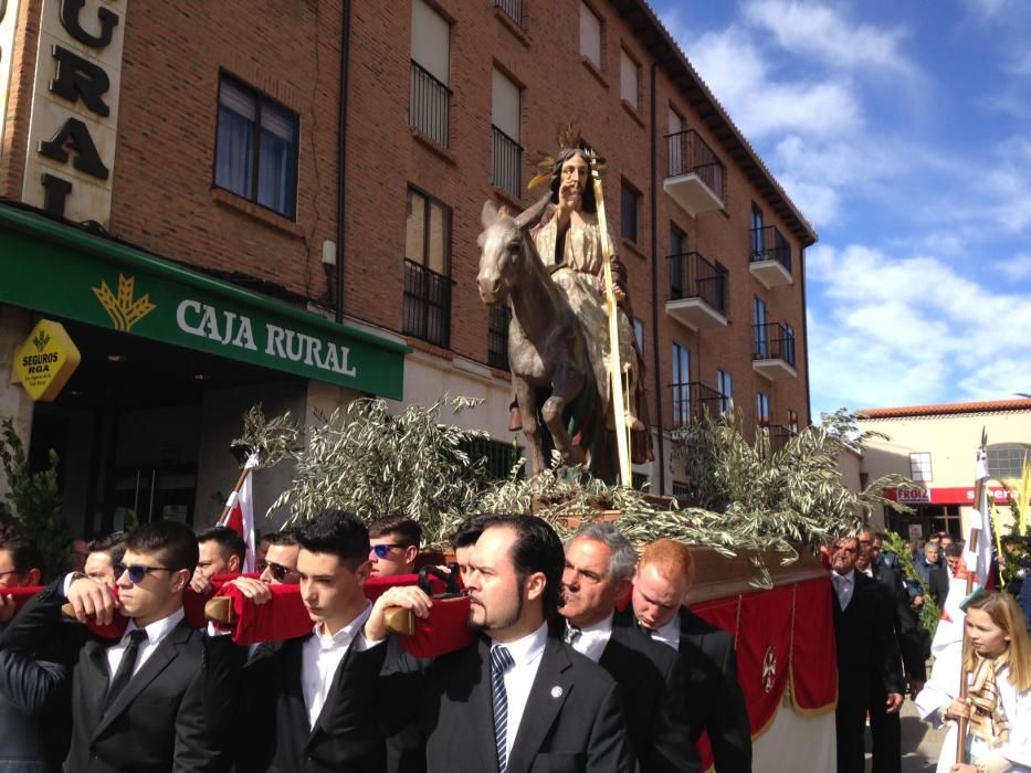 Semana Santa en Zamora: Borriquita en Toro
