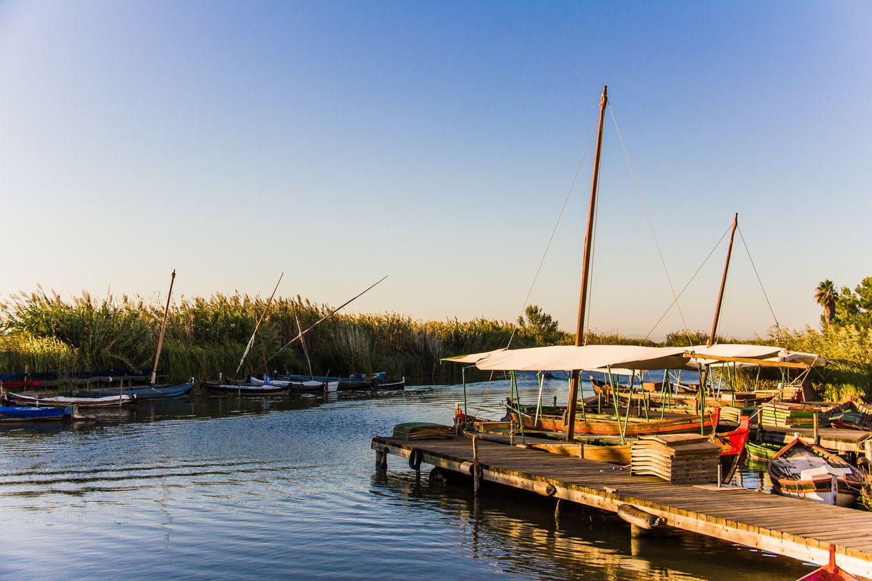 La Albufera, Comunidad Valenciana