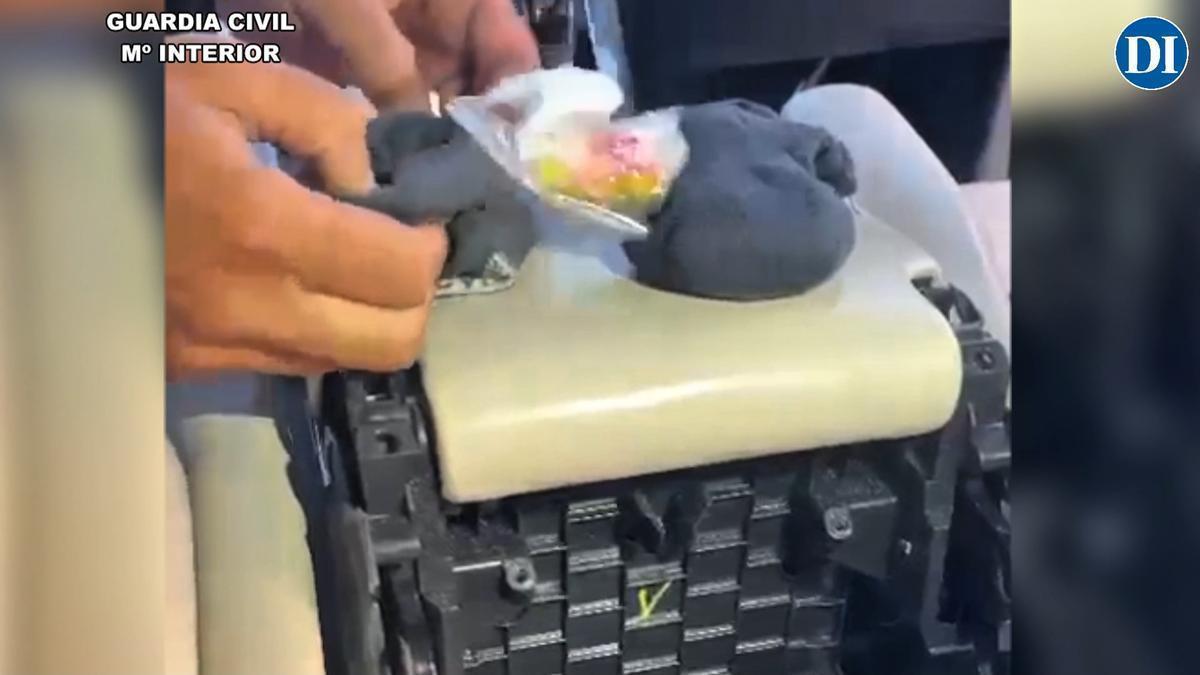 Operativo falsedad documental y dispositivo antidrogas con la ayuda del servicio de Cinológico