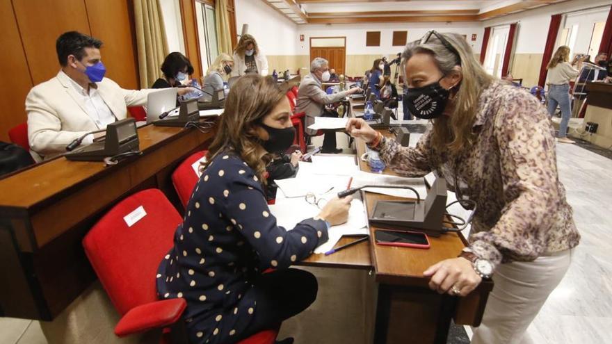 isabel Ambrosio, junto a Isabel Albás, en un momento del pleno.