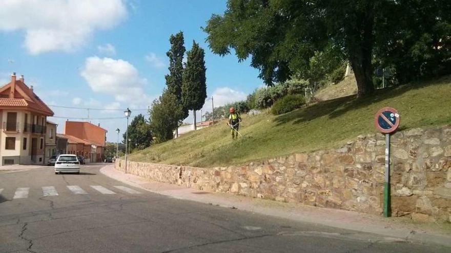 Un trabajador municipal del área de jardinería siega el césped en la calle Los Carros.