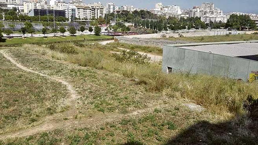 Piden que se planten más árboles en el canódromo