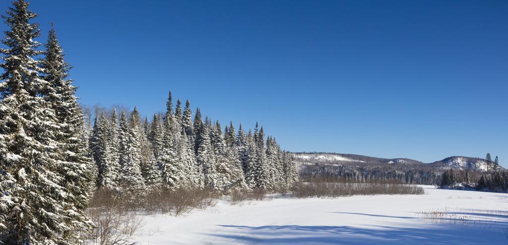Parque Nacional La Mauricie, Canadá