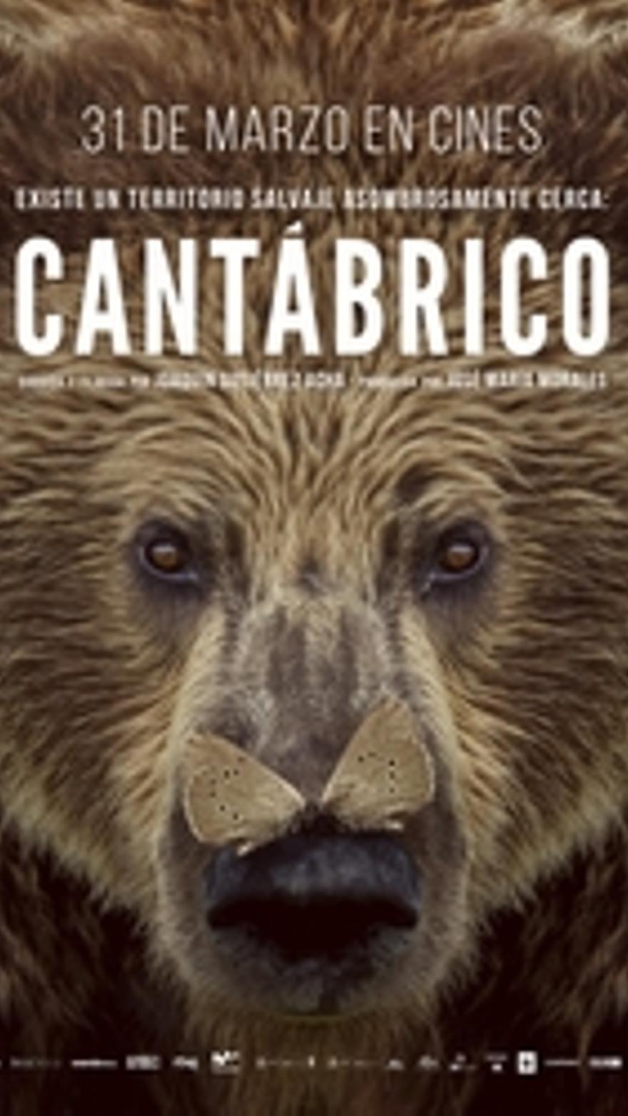 Cantábrico. Los dominios del oso pardo