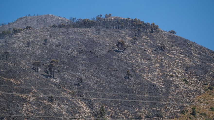 Esta es la ubicación donde se ha originado el incendio forestal de Ibi
