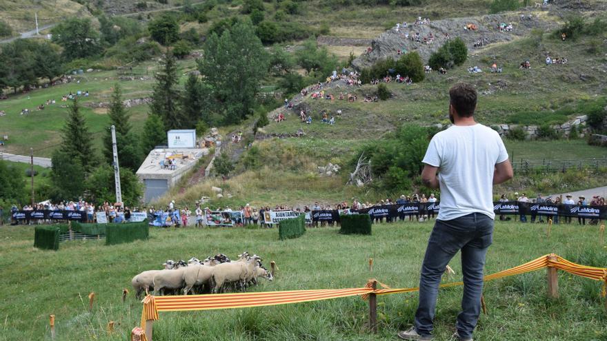 Castellar de n’Hug convoca un nou concurs de gossos d&#039;atura amb més pastors